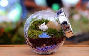 Terrariums and Gardening glass jars